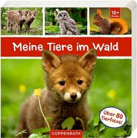 Meine Tiere im Wald