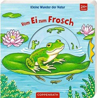 Vom Ei zum Frosch