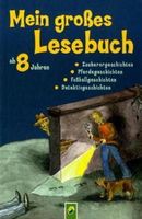 Mein großes Lesebuch ab 8 Jahren