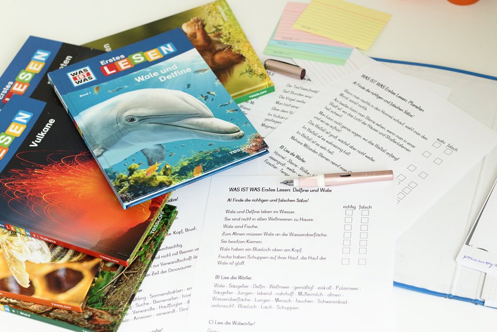 Leseförderung der Schulstufen 1 bis 4