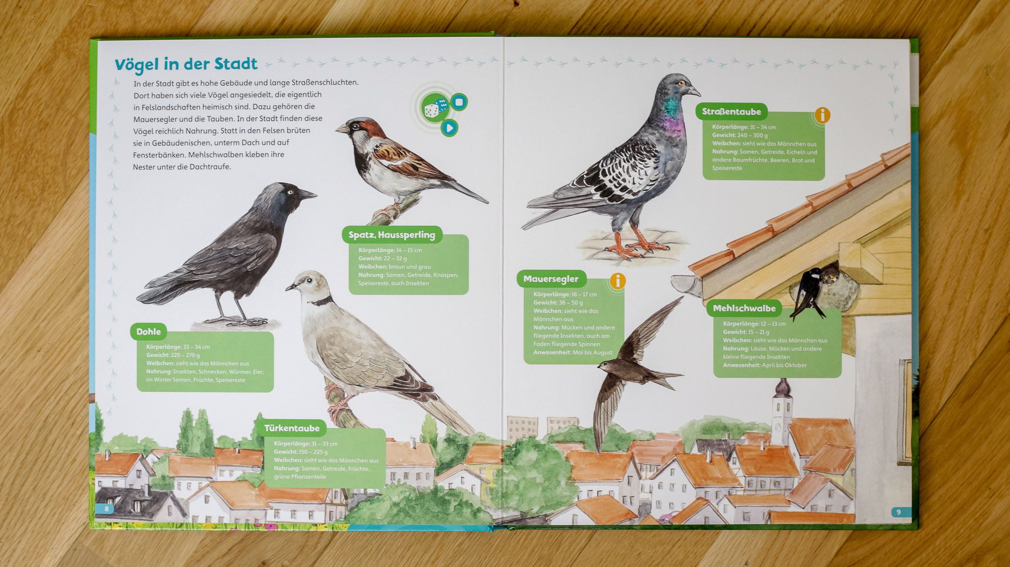 BOOKii Hören und Staunen: Heimische Vögel