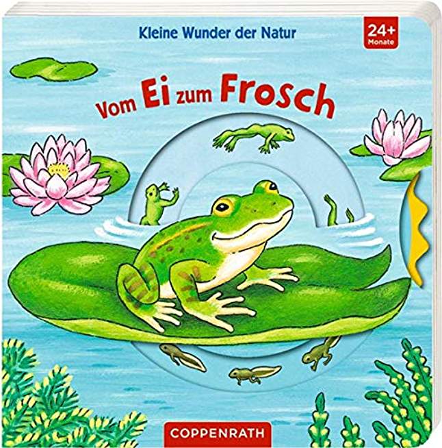 Kleine Wunder der Natur: Vom Ei zum Frosch