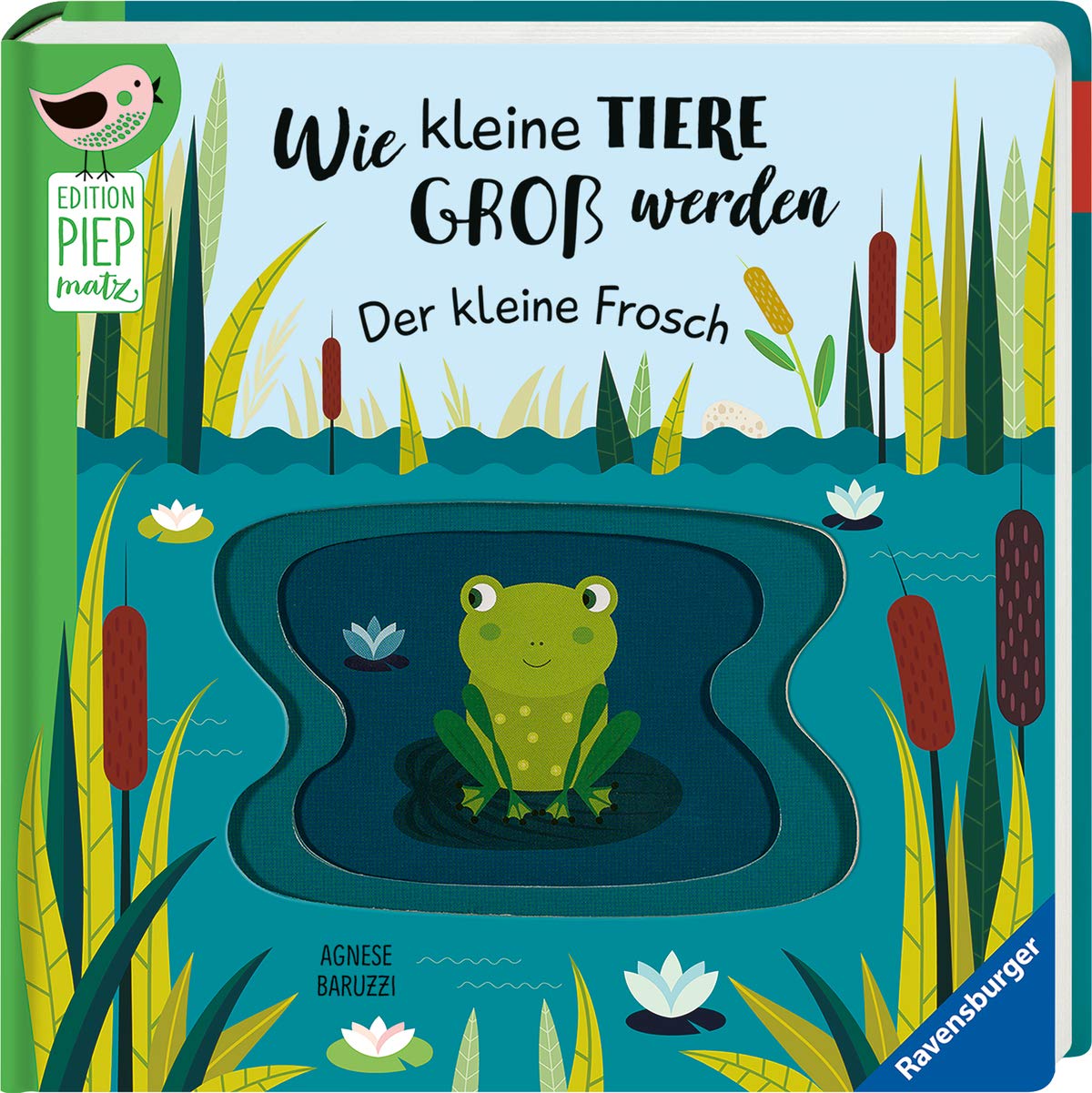 Wie kleine Tiere groß werden: Der kleine Frosch