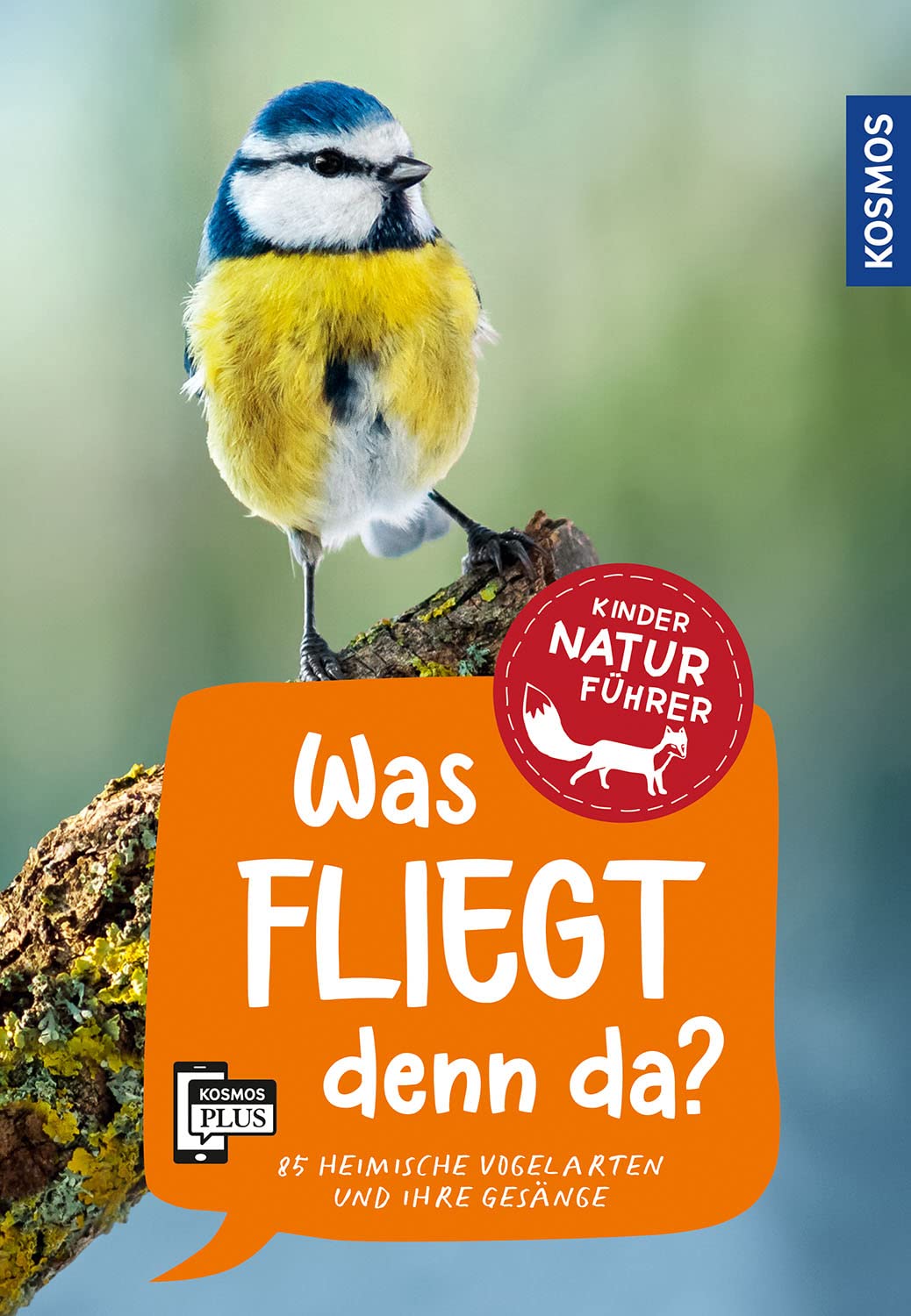 Was fliegt denn da?