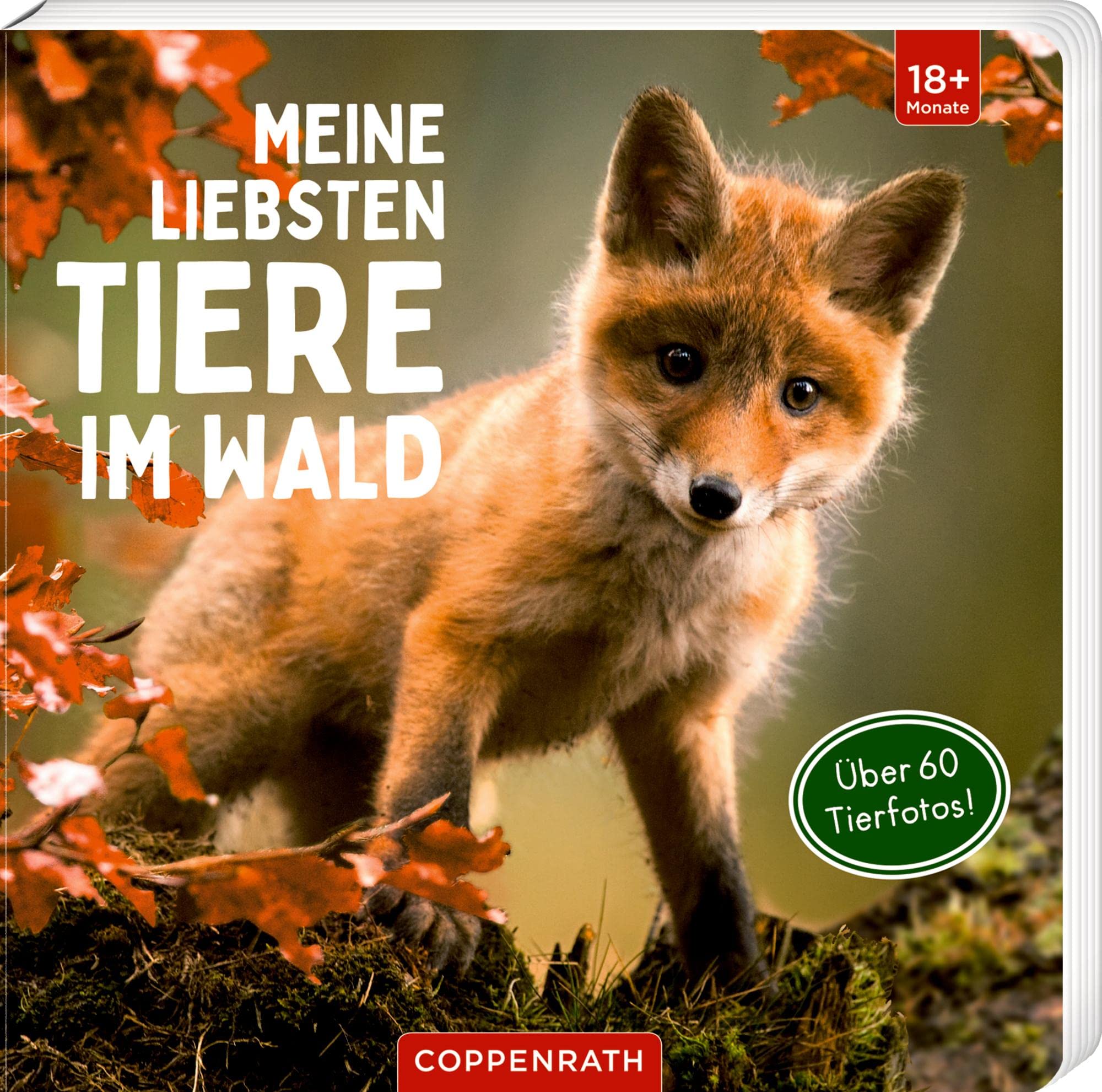 Meine liebsten Tier eim Wald