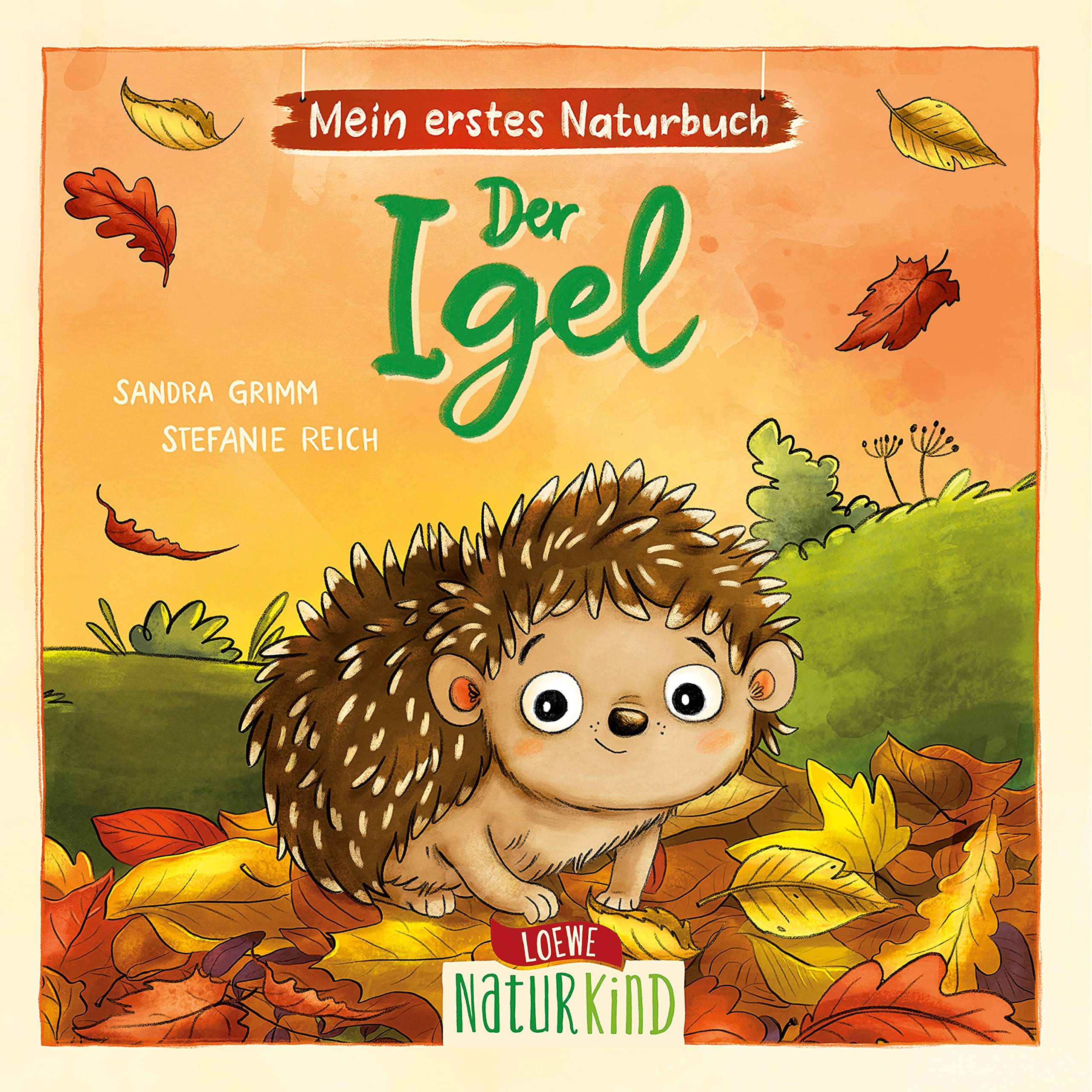 Mein erstes Naturbuch: Der Igel