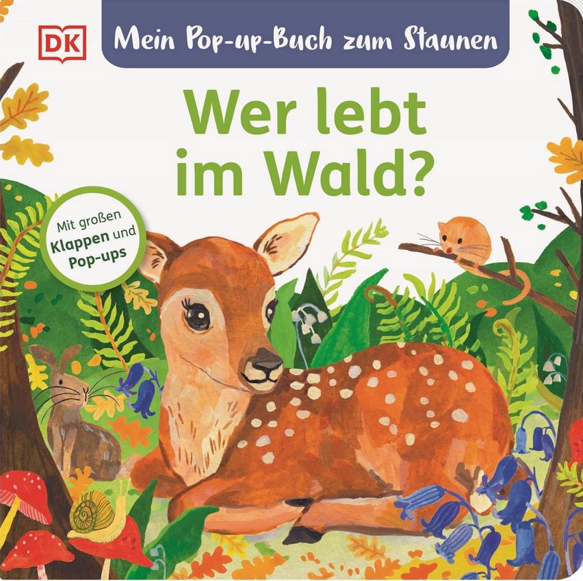 Mein Pop-up-Buch zum staunen: Wer lebt im Wald?