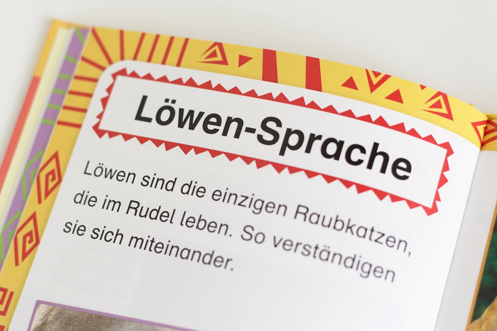 SUPERLESER! Löwen-Abenteuer