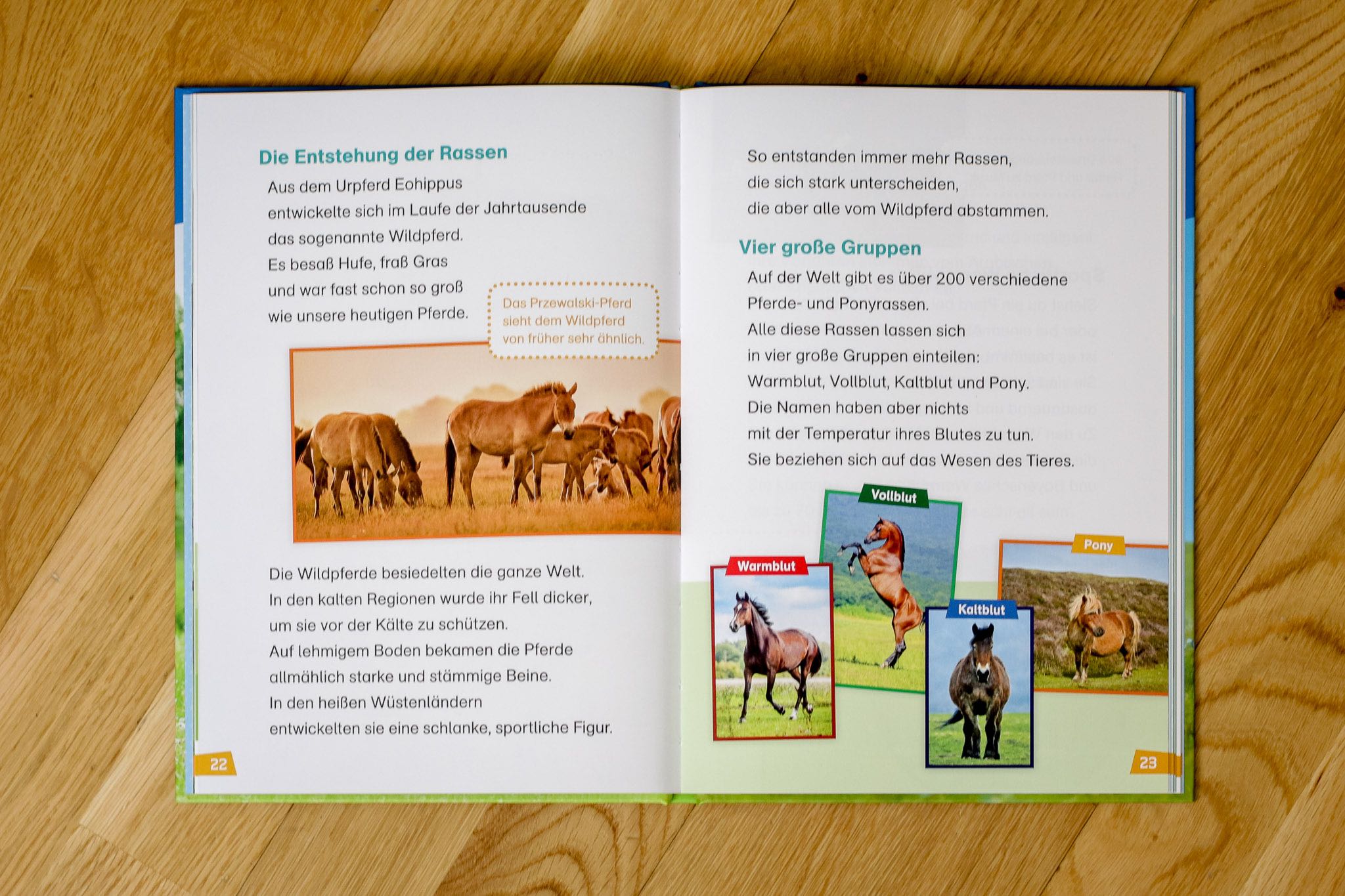 WAS IST WAS Erstes Lesen: Pferde und Ponys