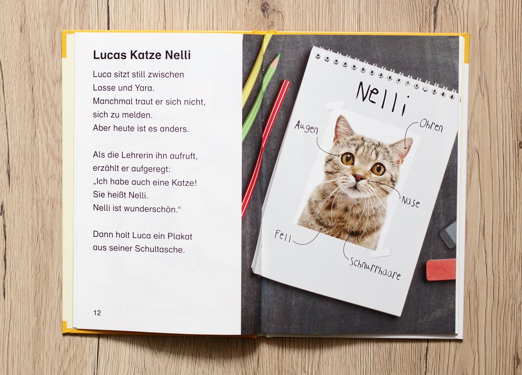 Lucas neue Katze