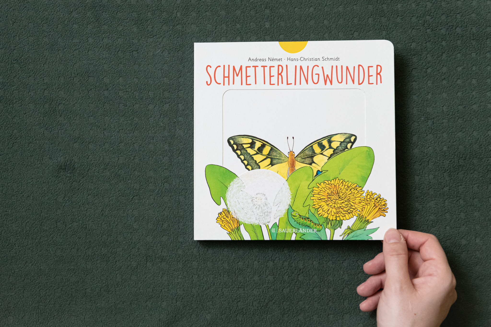 Schmetterlingwunder