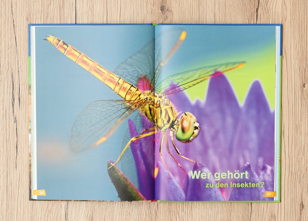 WAS IST WAS Erstes Lesen Insekten