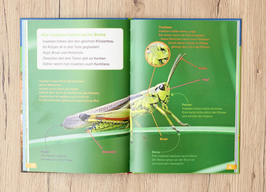 WAS IST WAS Erstes Lesen Insekten