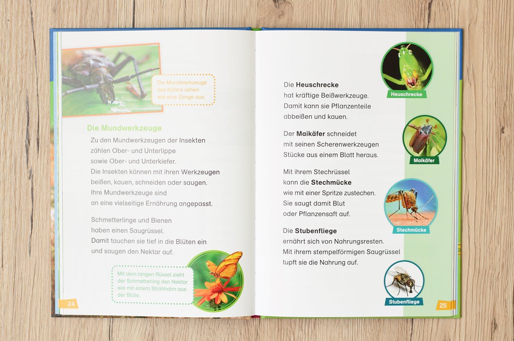 WAS IST WAS Erstes Lesen Insekten