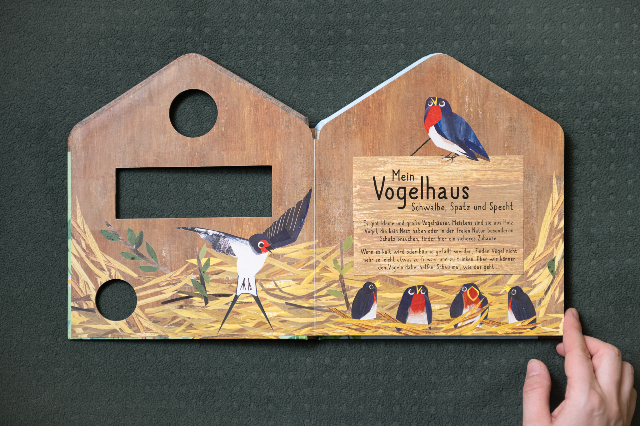 Mein Vogelhaus: Schwalbe, Spatz und Specht von Clover Robin