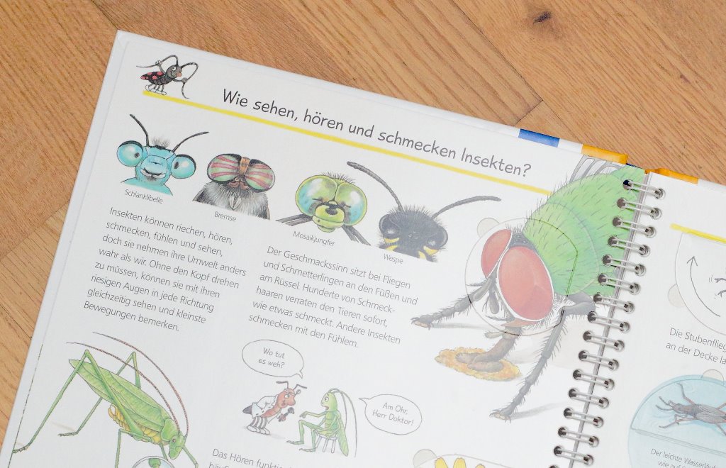 Wieso? Weshalb? Warum? Wir entdecken die Insekten