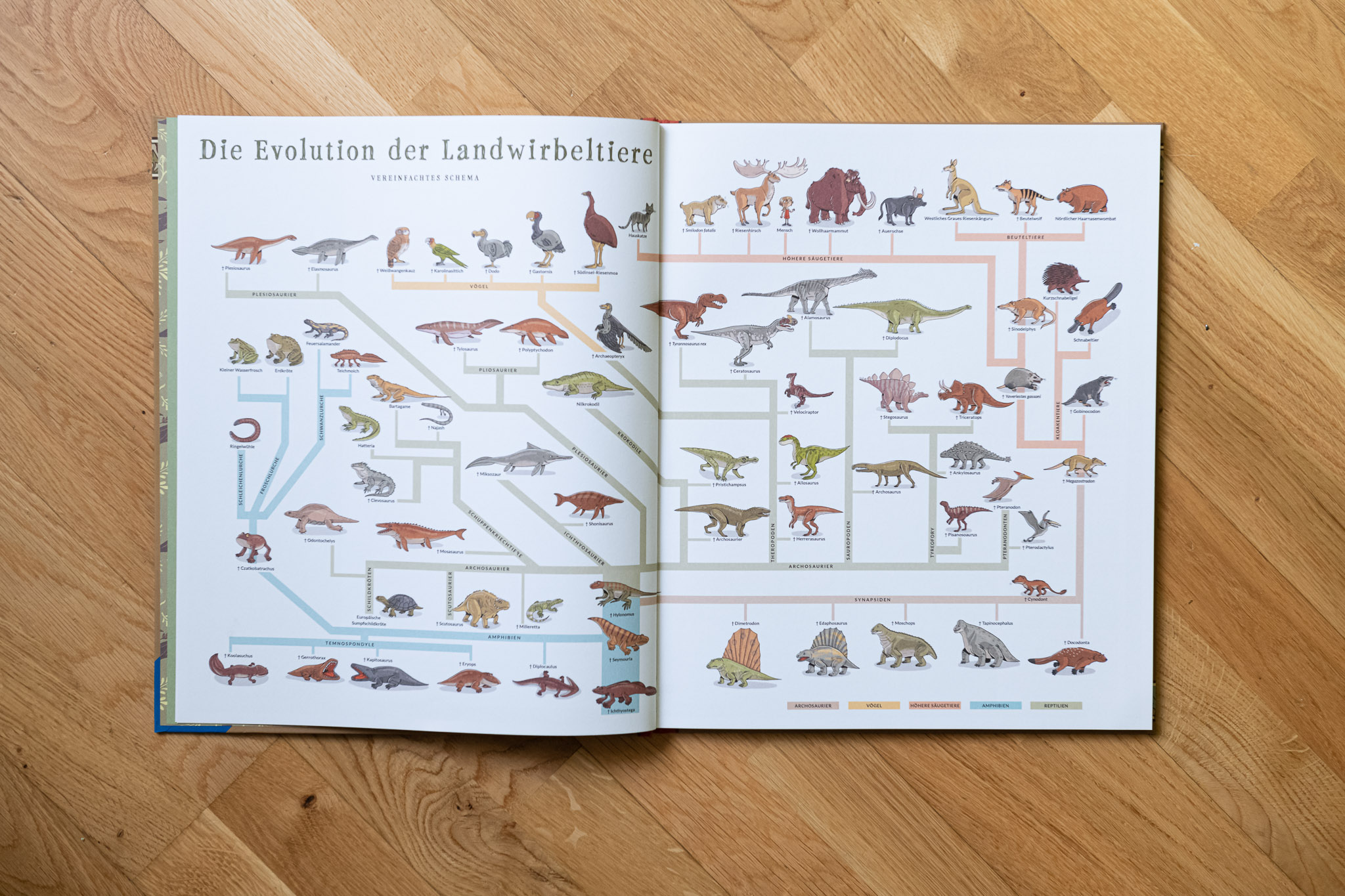 Ausgestorben. Das Buch der verschwundenen Tiere