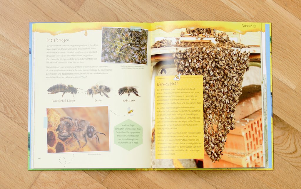 Brummsumm - entdecke die Welt der Honigbienen