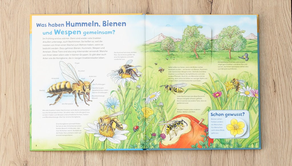 WAS IST WAS Junior Bienen, Wespen, Hummeln