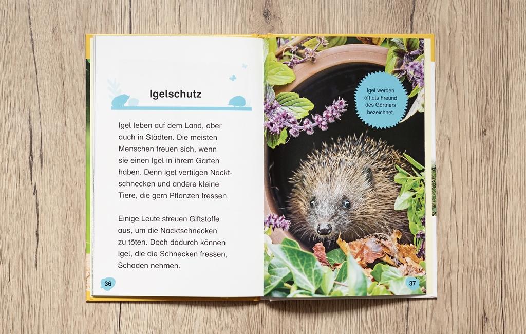 SUPERLESER! Hallo, Igel!