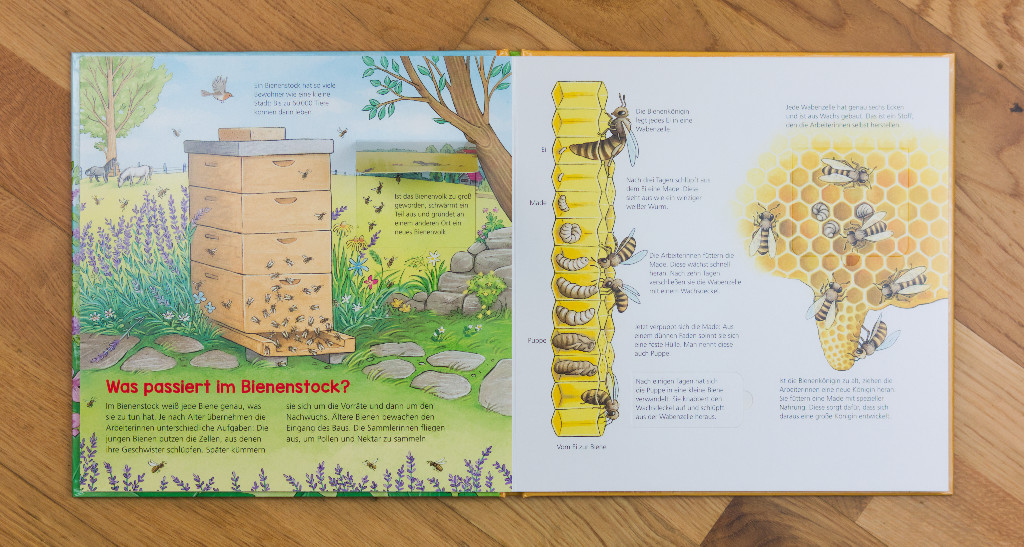 WAS IST WAS Kindergarten: Entdecke die Bienen!