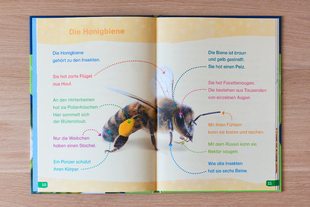 WAS IST WAS Erstes Lesen easy! Wie lebt die Honigbiene?
