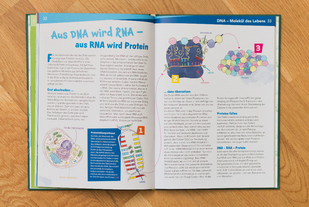 WAS IST WAS Naturwissenschaften easy: Die Zelle