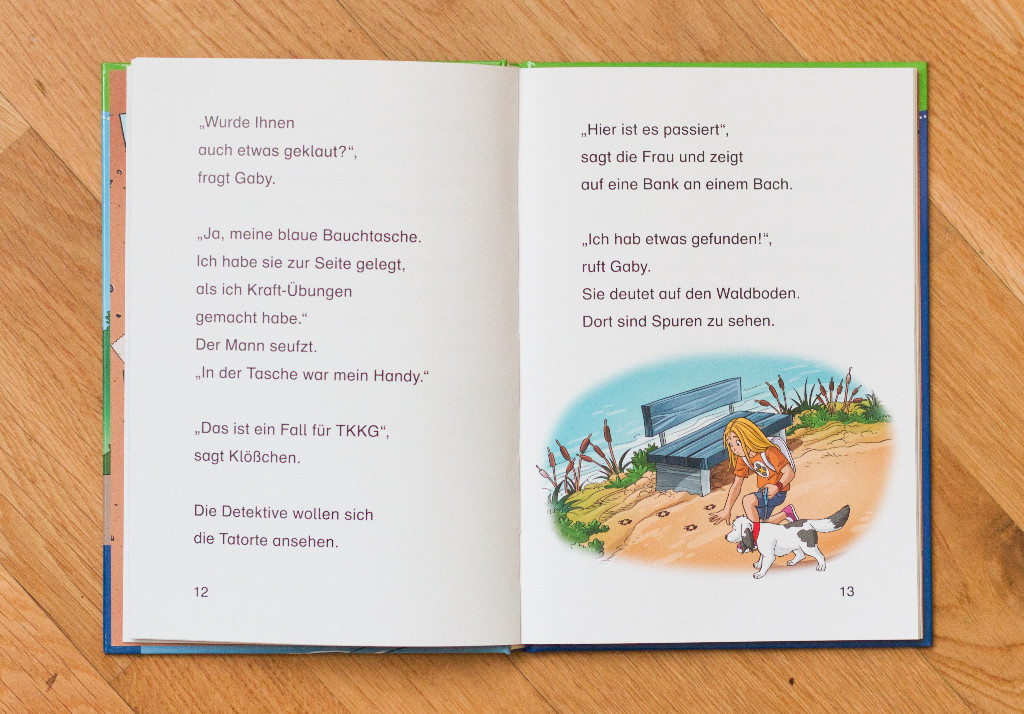 Bücherbär: TKKG Junoir: Der Schatz im See