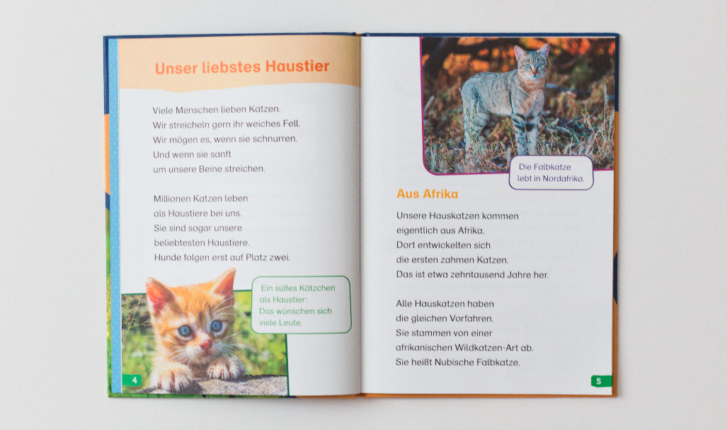 WAS IST WAS Erstes Lesen easy Katzen - meien Lieblingstiere