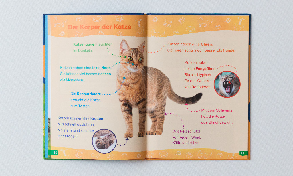 WAS IST WAS Erstes Lesen easy Katzen - meien Lieblingstiere