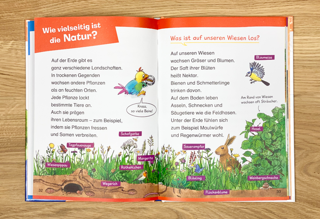 Wieso? Weshalb? Warum? Erstleser In der Natur