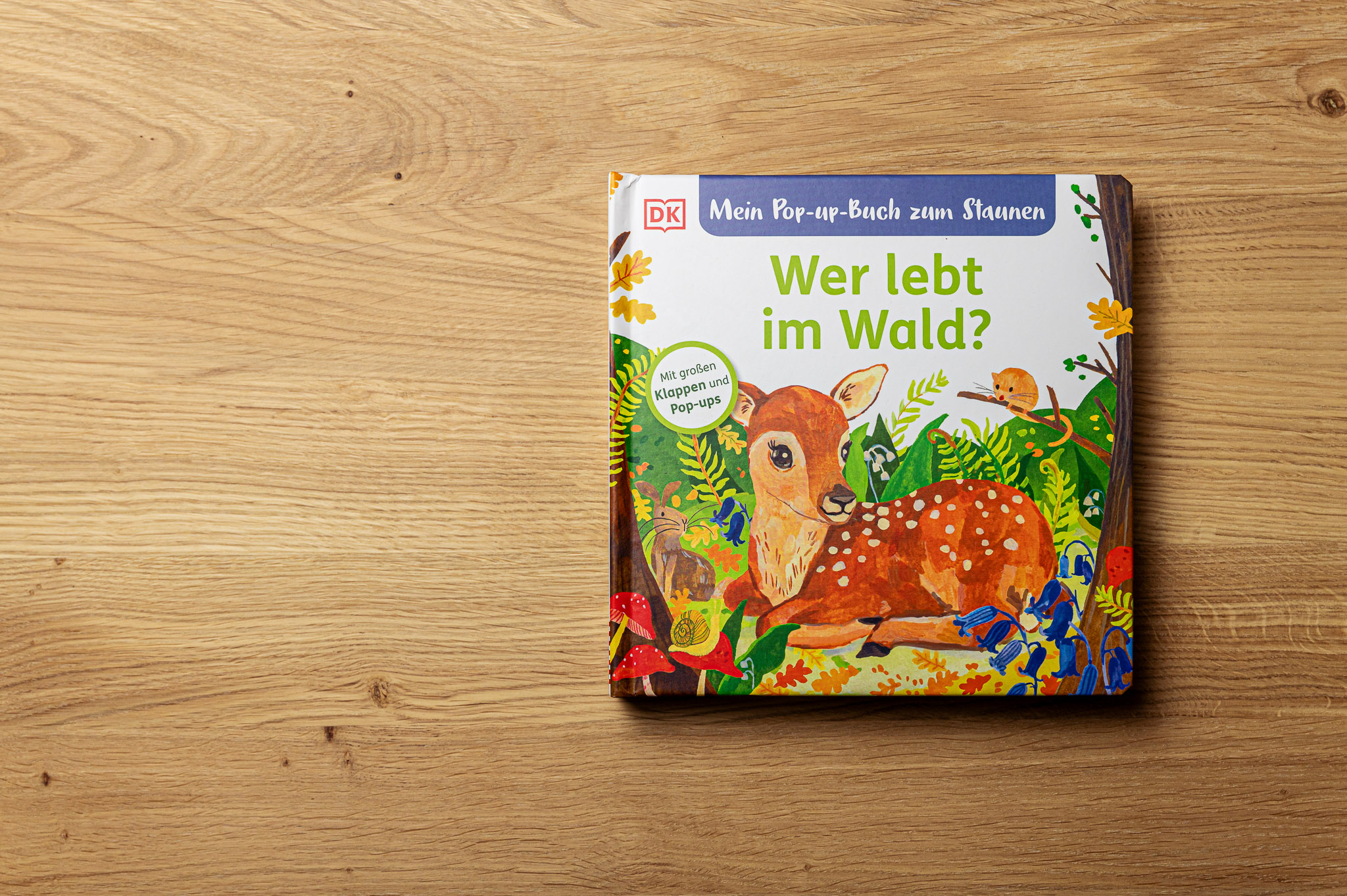 Mein Pop-up-Buch zum Staunen: Wer lebt im Wald?