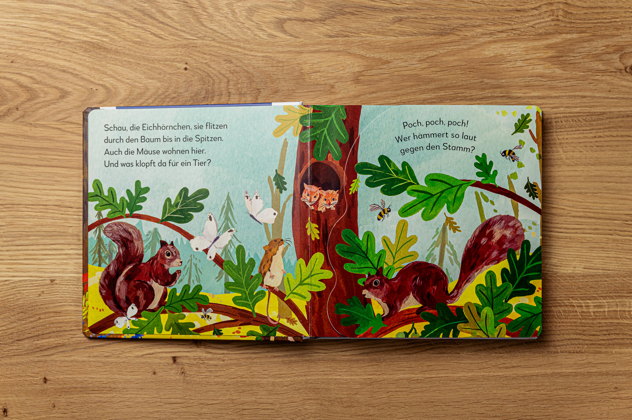 Mein Pop-up-Buch zum Staunen: Wer lebt im Wald?