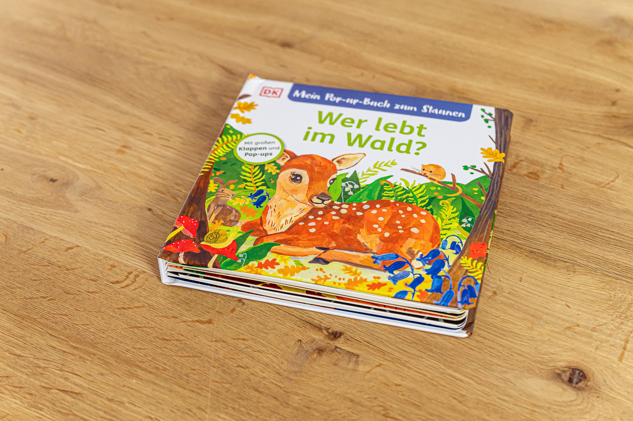 Mein Pop-up-Buch zum Staunen: Wer lebt im Wald?