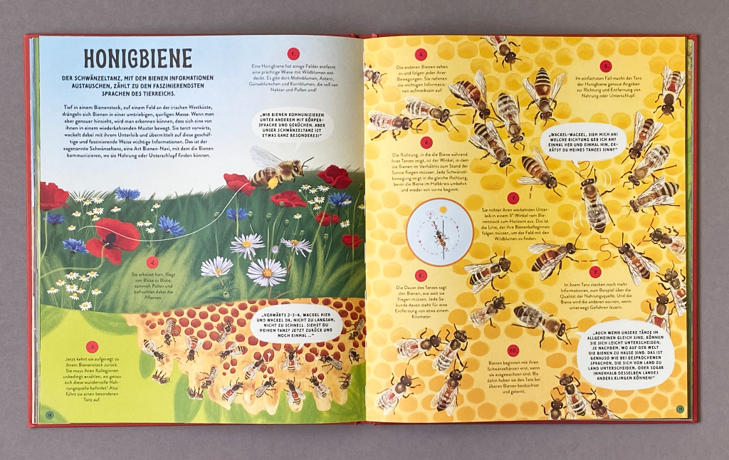 Die Sprache der Natur