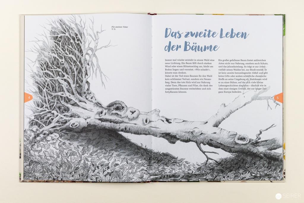 Das zweite Leben der Bäume