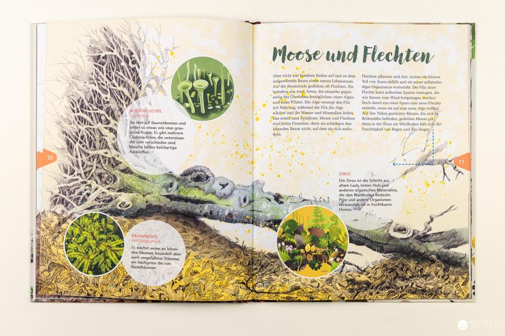 Das zweite Leben der Bäume