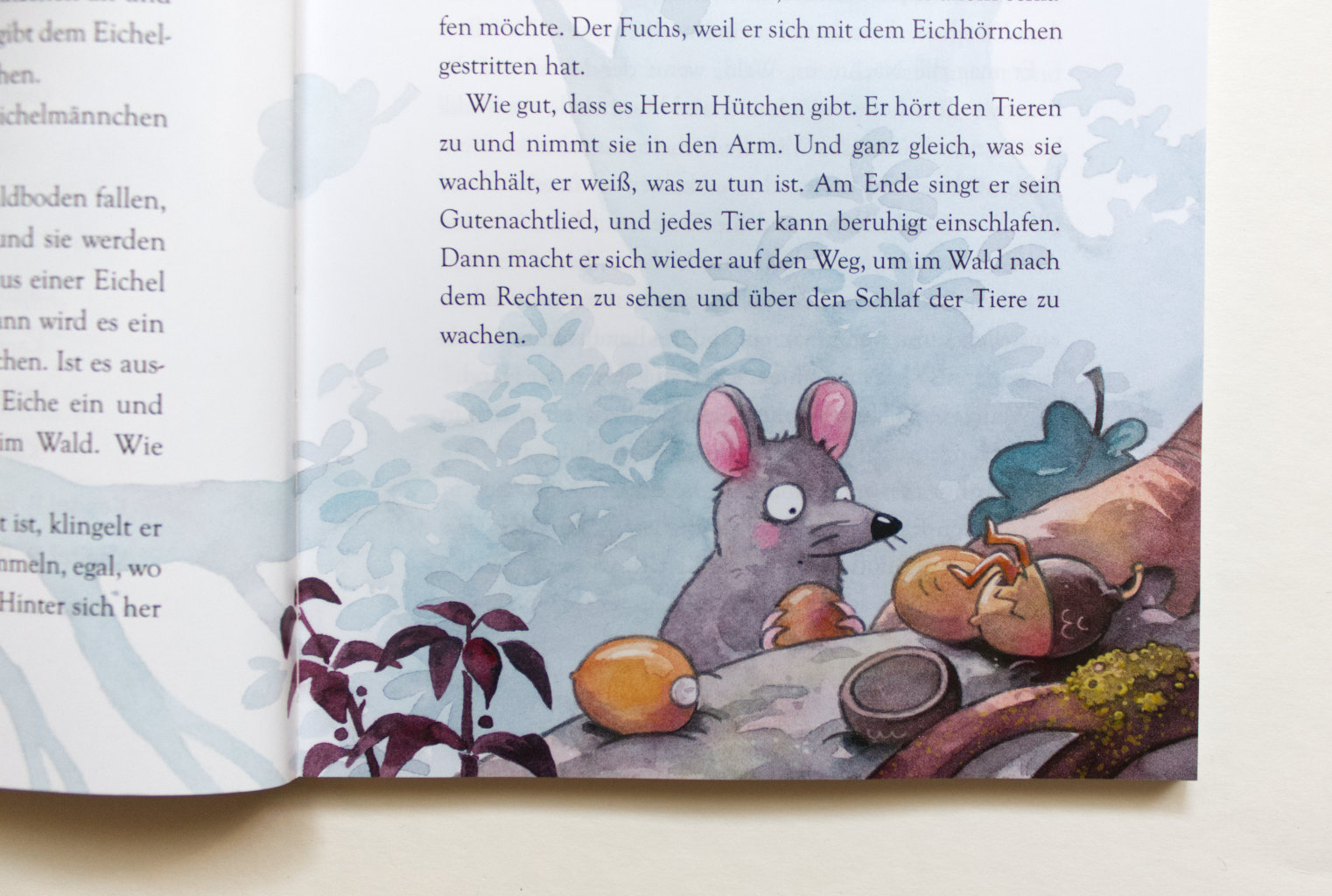 Herr Hütchen sagt Gute Nacht