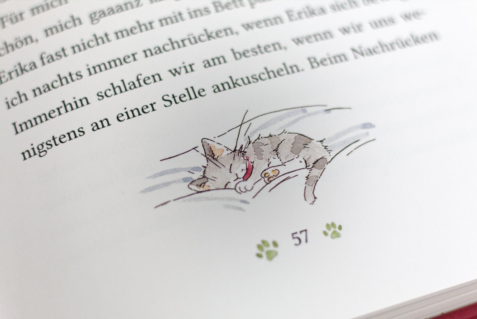 Kleiner Kater Svenni