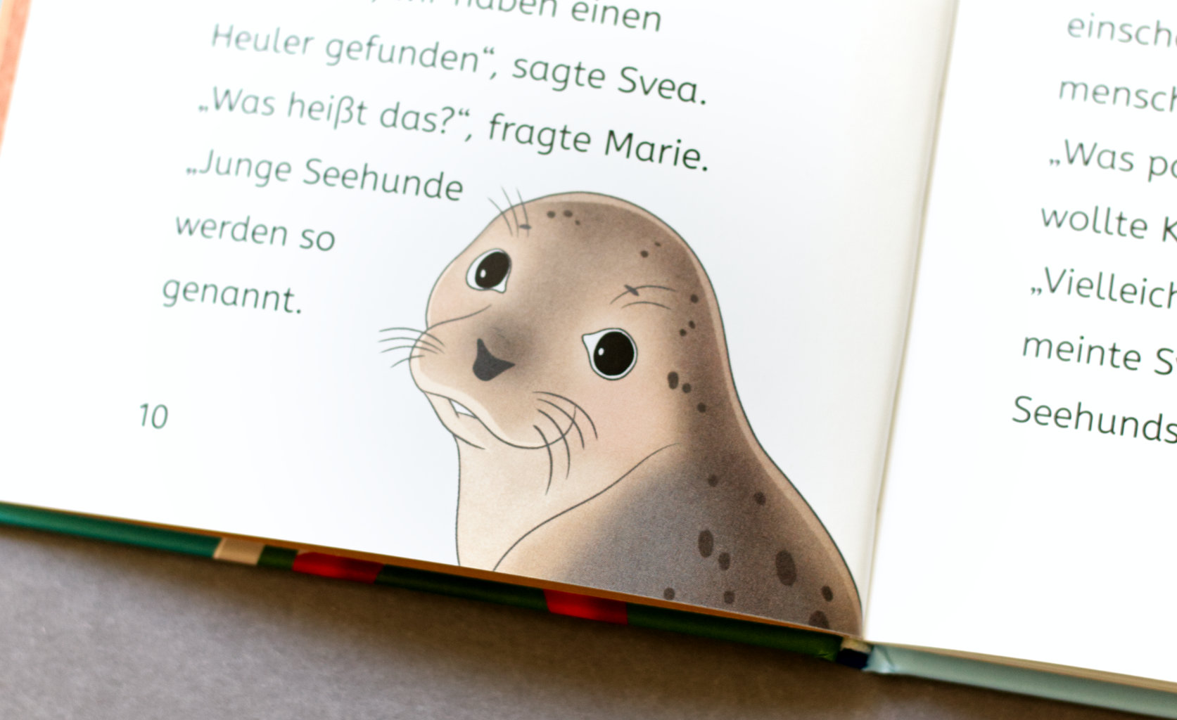 Bücherhelden Die drei !!!: Seehund ahoi!