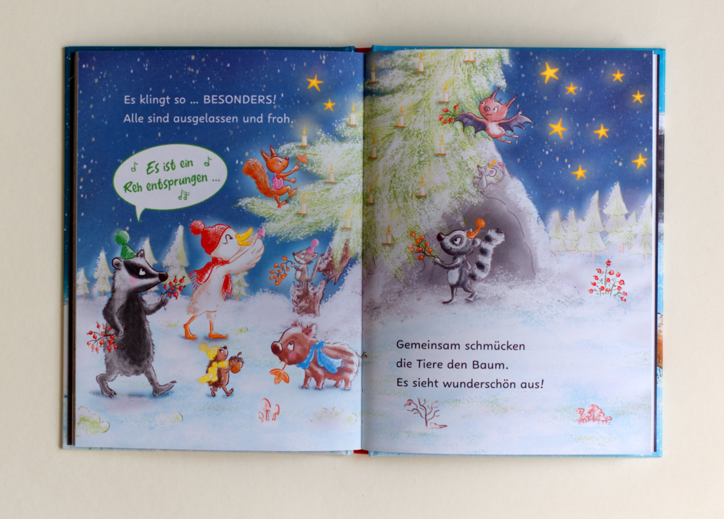 Weihnachten im Winterschlaf