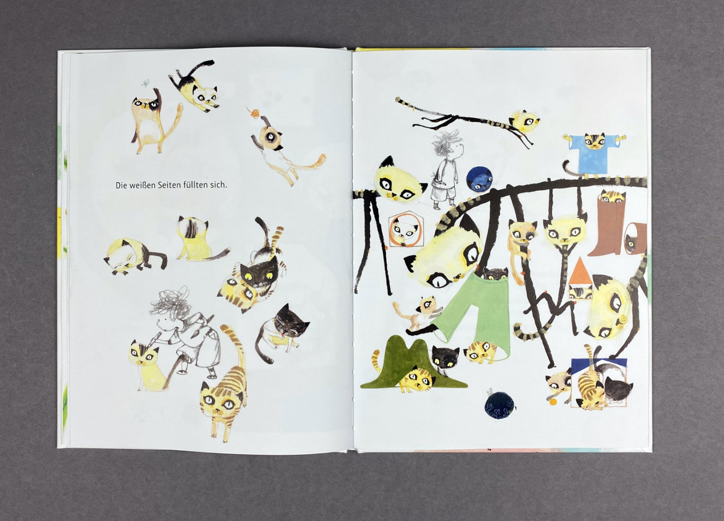 Farbe, Eule, Stift und Katze