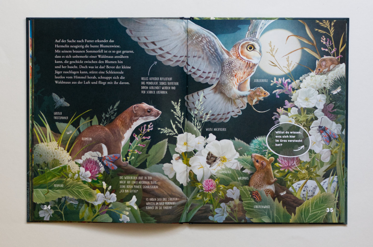 Was schleicht durch die Nacht?