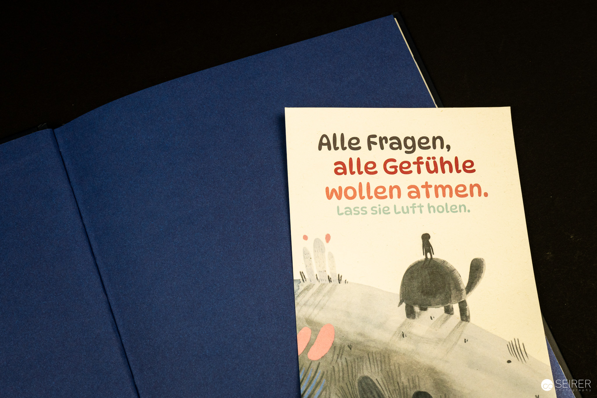 Komm, ich trag dich ein Stück, sagte die Schildkröte