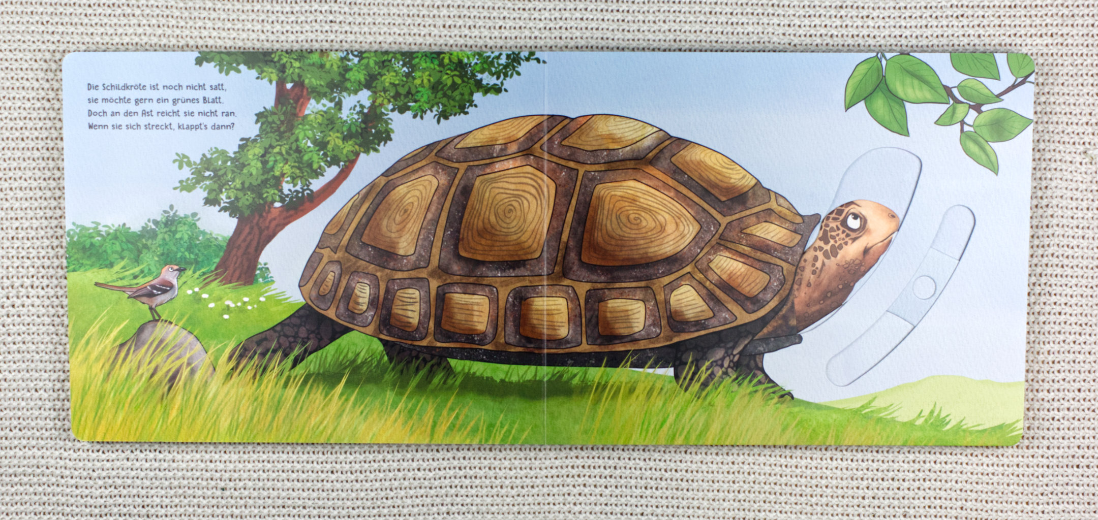 Mein erstes Buch der großen Tiere