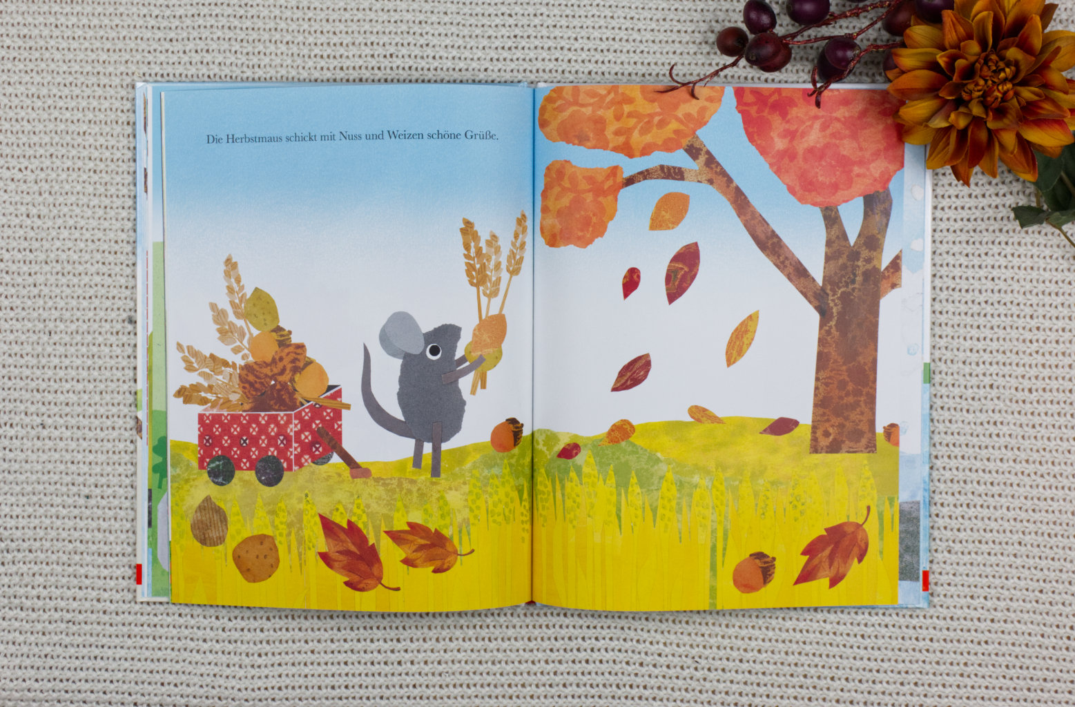 Erzähl uns von den Jahreszeiten, Frederick