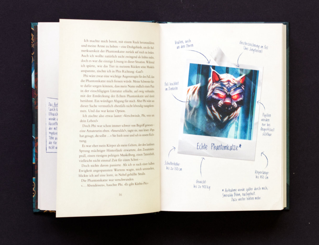 Smeralda Bohms Bestiarium: Auf den Spuren der verborgenen Wesen