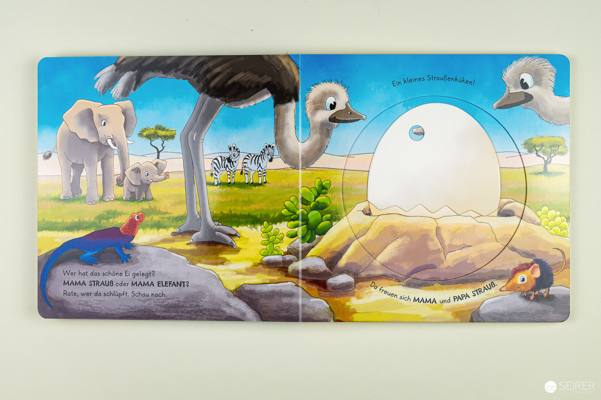 Wer schlüpft da aus dem Ei?