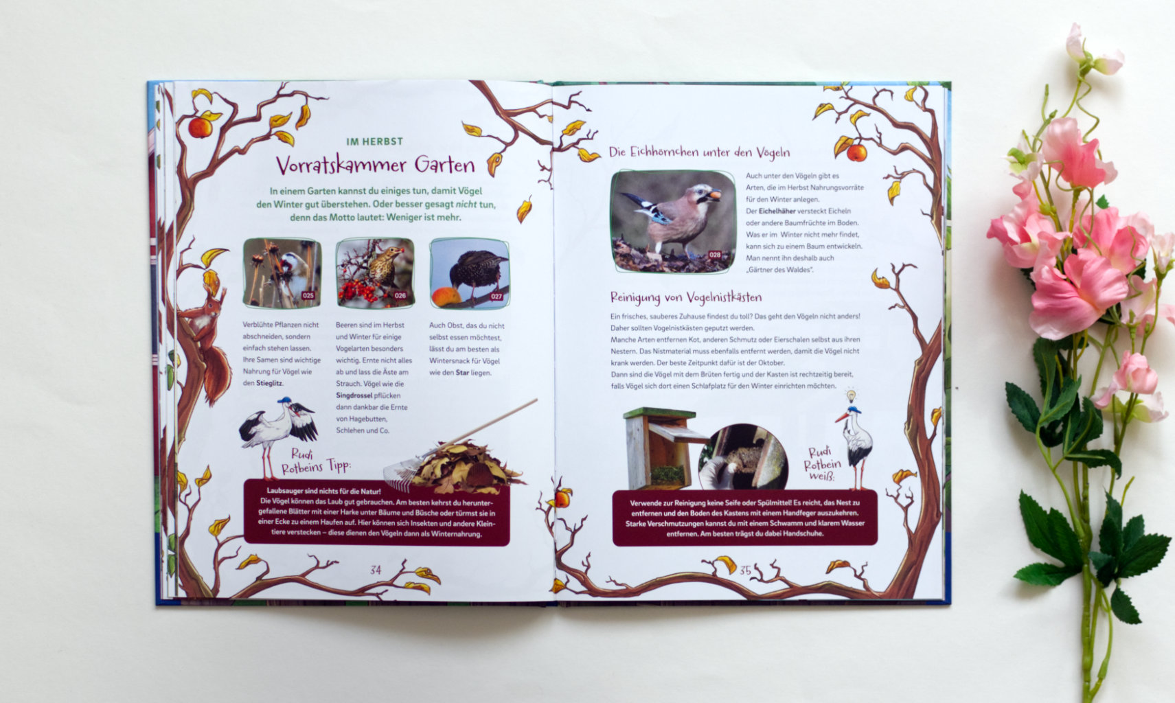 Nicole Jüngling und Sarah Friede: Arthur und Agathe Amsel - Abenteuer am Futterhaus