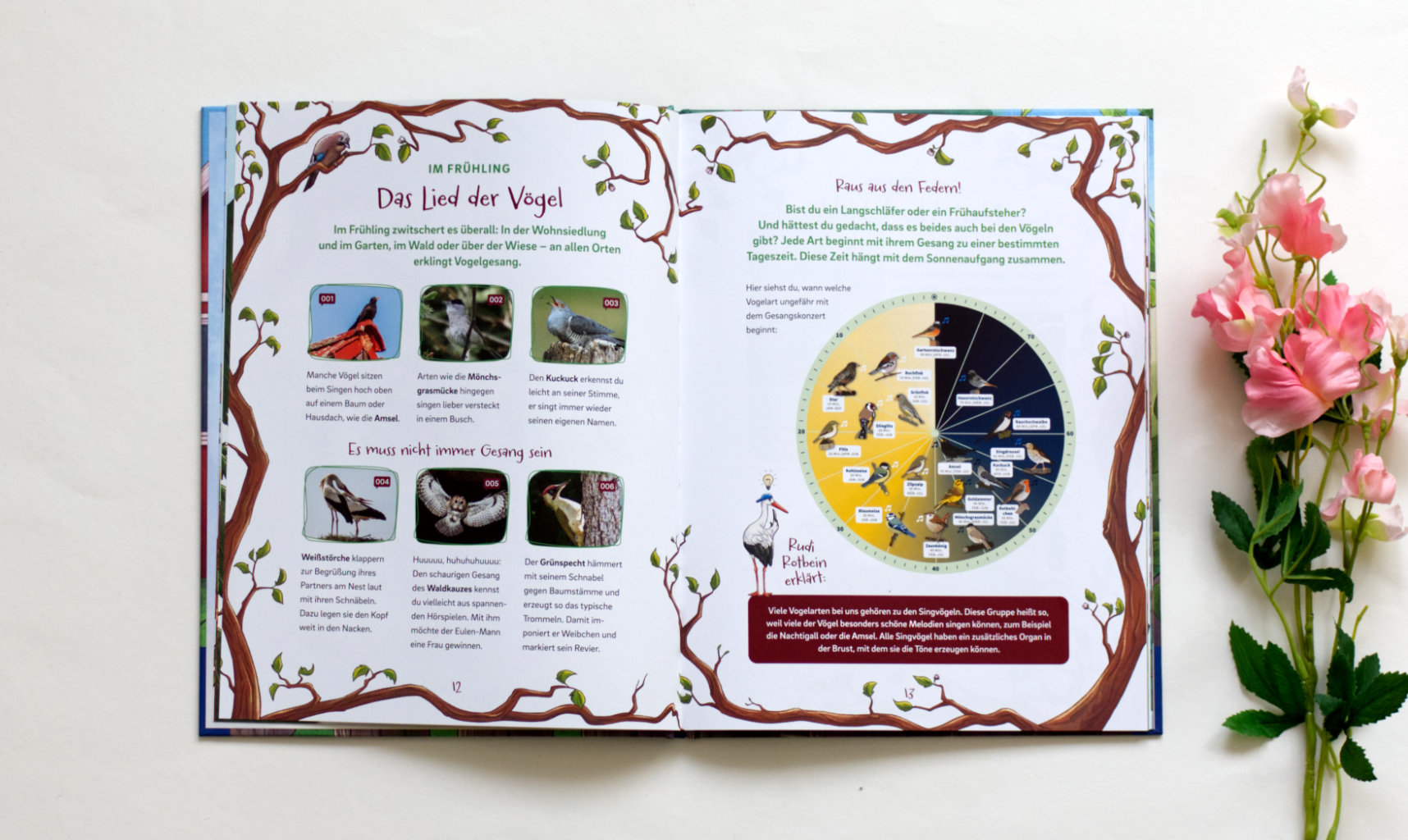 Nicole Jüngling und Sarah Friede: Arthur und Agathe Amsel - Abenteuer am Futterhaus